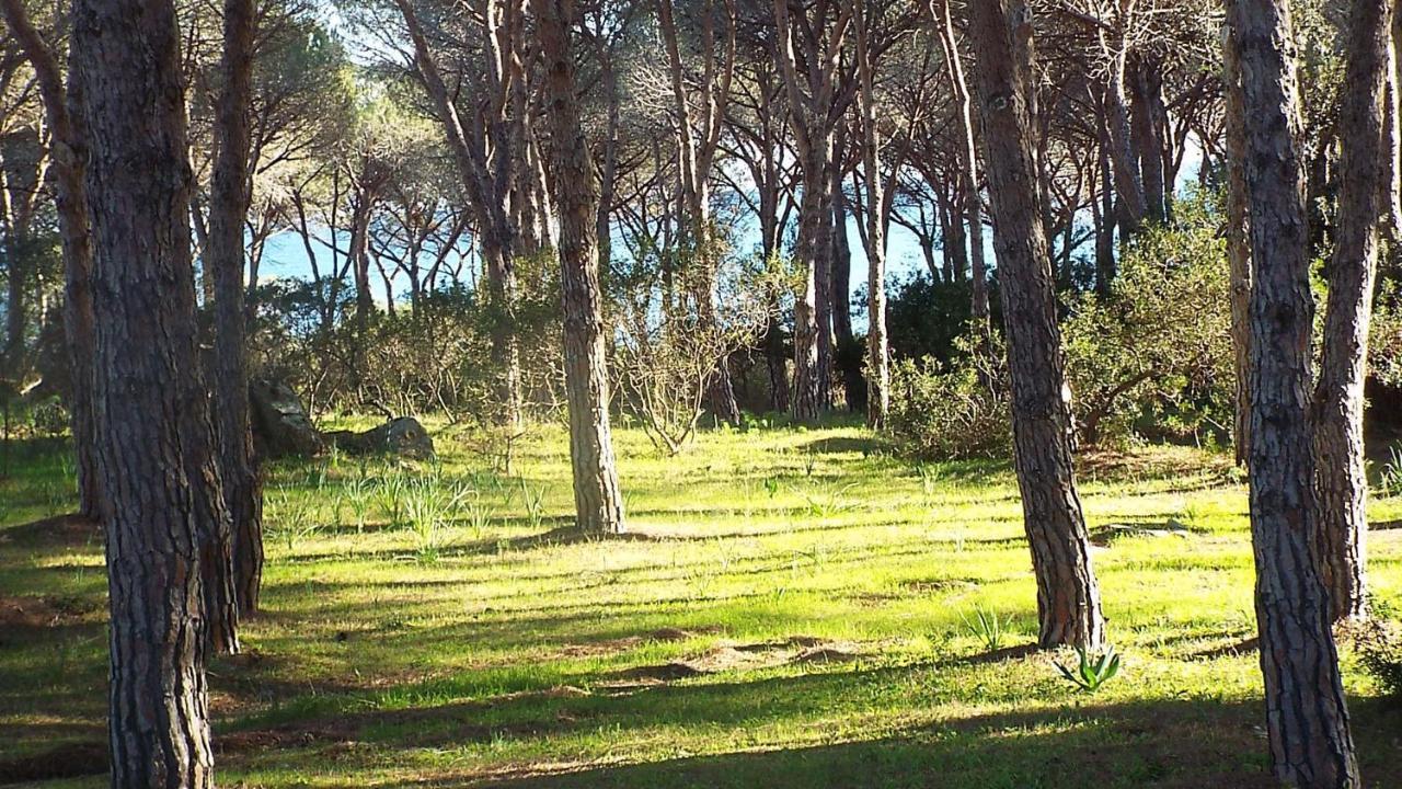 Villetta Con Giardino A 布多尼 外观 照片